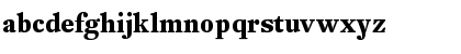 DTLFleischmannST Bold Font