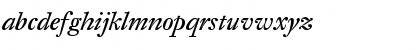 DTLFleischmannT Italic Font