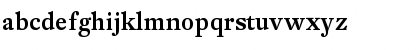 DTL Fleischmann T Medium Font DTL Fleischmann T Medium Font