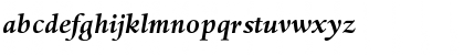 DTLHaarlemmerSD BoldItalic Font DTLHaarlemmerSD BoldItalic Font