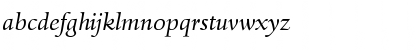 DTLHaarlemmerSD Italic Font DTLHaarlemmerSD Italic Font