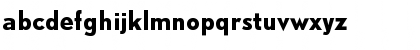 DTL Nobel T Bold Font