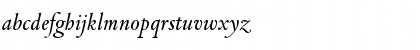 DTLVandenKeereD Italic Font DTLVandenKeereD Italic Font