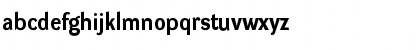 DynaGrotesk R Bold Font DynaGrotesk R Bold Font