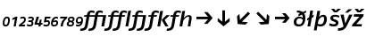 FagoEx MediumItalicExp Font