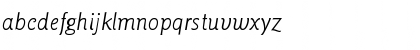 ITC Goudy Sans Light Italic Font