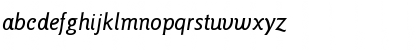 ITC Goudy Sans Pro Medium Italic Font ITC Goudy Sans Pro Medium Italic Font