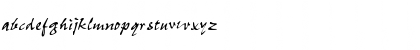 CaimanScriptSSK Regular Font CaimanScriptSSK Regular Font