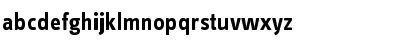 InfoTextBold Roman Font InfoTextBold Roman Font