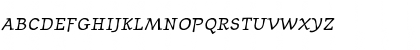 JournalItalicFractions Regular Font JournalItalicFractions Regular Font