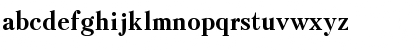 UkrainianPeterburg Bold Font