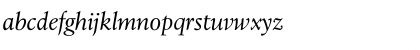 LeightonLightItalic Regular Font LeightonLightItalic Regular Font