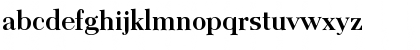 Camelia Bold Font Camelia Bold Font