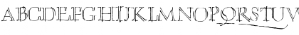 NewFont Regular Font NewFont Regular Font