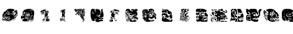 MayaSigns Regular Font MayaSigns Regular Font