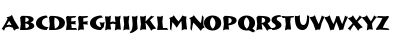 Munich Bold Font Munich Bold Font
