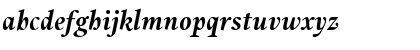 UnionBoldItalic Regular Font UnionBoldItalic Regular Font