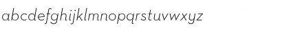 Neutra Text TF Light Italic Font
