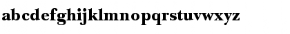 NewBaskervilleEF Black Font NewBaskervilleEF Black Font
