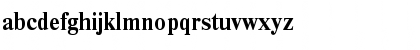NewtonC Bold Font NewtonC Bold Font