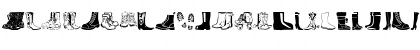 Boots Regular Font