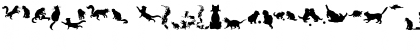 CatsCo Regular Font CatsCo Regular Font