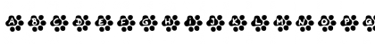 Catwalk Regular Font Catwalk Regular Font