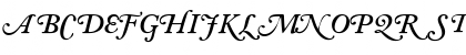 CaslonSwashCapsSSK BoldItalic Font CaslonSwashCapsSSK BoldItalic Font
