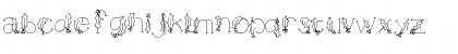 HOLLY&BERRIE Bold Font HOLLY&BERRIE Bold Font
