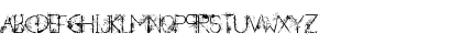 A new Heard Decorative Italic Font