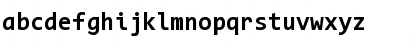 Code New Roman Bold Font