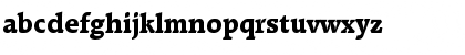 URWRadonTExtBol Regular Font