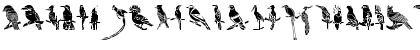 HFF Bird Stencil Regular Font
