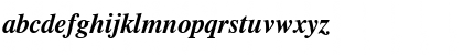 CG Times Bold Italic Font