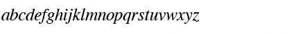 CG Times Italic Font CG Times Italic Font