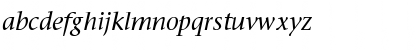 ITC Stone Serif Std Medium Italic Font