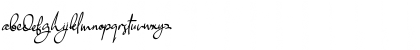 Elegature Regular Font