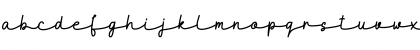 MaidenhairDEMO Regular Font