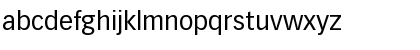 VectoraLH55Roman Roman Font VectoraLH55Roman Roman Font