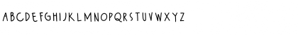Wildy Sans Regular Font