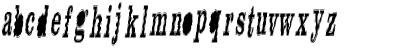 FREE N WILD Regular Font FREE N WILD Regular Font