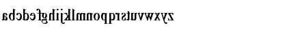 RSTimesMirror Cn bold Bold Font