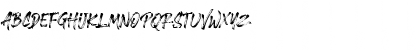 Brushlie Demo Regular Font Brushlie Demo Regular Font