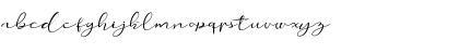 love beard Regular Font love beard Regular Font