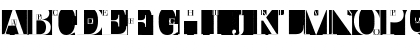 WaldoniNewTorsi Regular Font WaldoniNewTorsi Regular Font