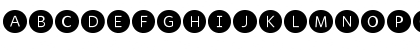 WhitneyIndexBlack Medium Font