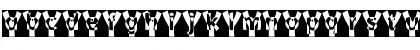 Why? Regular Font