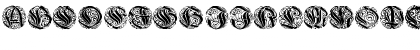 WieynkCapsRound Regular Font