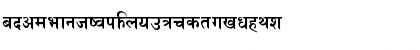 AMAA NETWORK CONSULTANT Regular Font AMAA NETWORK CONSULTANT Regular Font