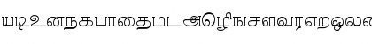 aTamilApple_thin normal Font